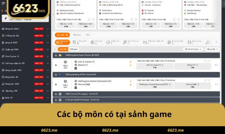 Thể Thao 6623 1 Các bộ môn có tại sảnh game