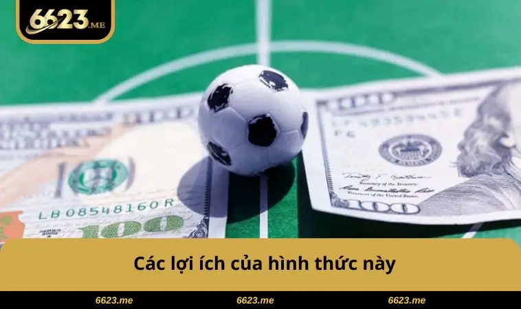 Các lợi ích của hình thức này