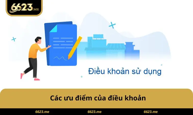 Điều Khoản Sử Dụng 6623 2 Các ưu điểm của điều khoản