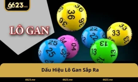 dau-hieu-lo-gan-sap-ra