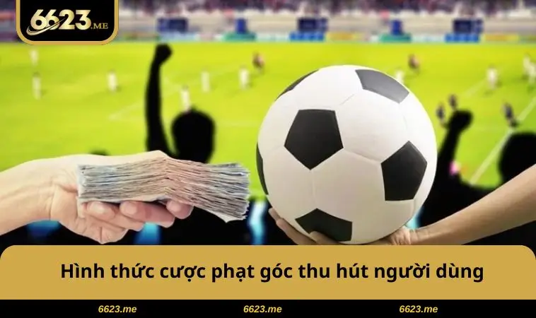 Thuật Ngữ Cá Độ Bóng Đá - Bí Quyết Nắm Kèo, Tăng Tỷ Lệ Thắng 2 Hình thức cược phạt góc thu hút người dùng