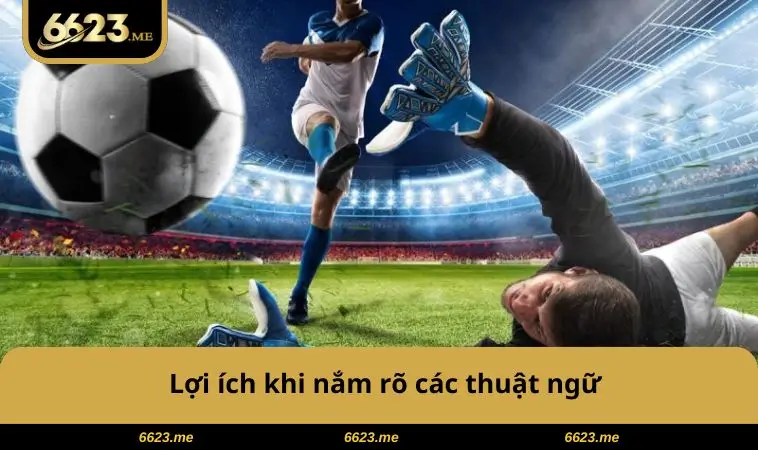 Thuật Ngữ Cá Độ Bóng Đá - Bí Quyết Nắm Kèo, Tăng Tỷ Lệ Thắng 3 Lợi ích khi nắm thuật ngữ