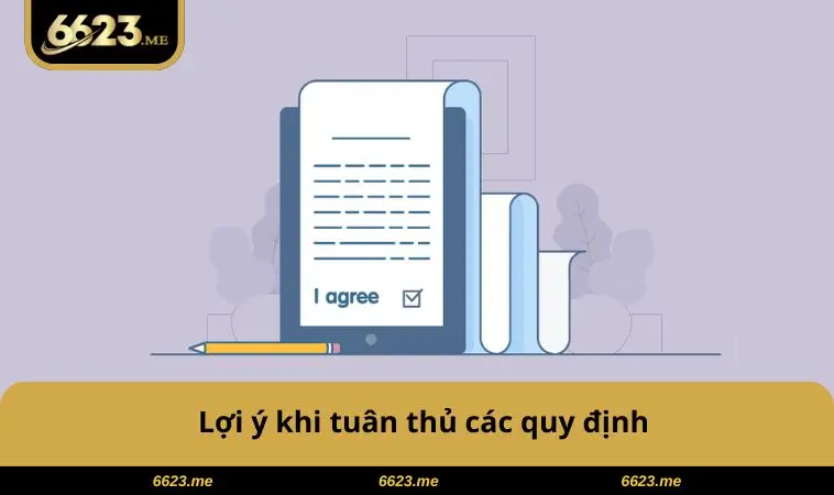 Điều Khoản Sử Dụng 6623 3 Lợi ý khi tuân thủ các quy định