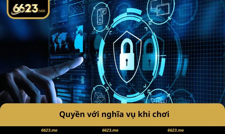 Chính Sách Bảo Mật 6623 3 Quyền với nghĩa vụ khi chơi