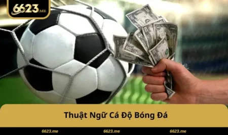 thuat-ngu-ca-do-bong-da
