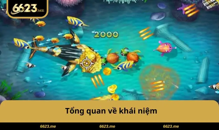 Thuật Toán Bắn Cá - Cao Thủ Giải Mã Quy Luật Để Thắng Lớn 1 Tổng quan về khái niệm