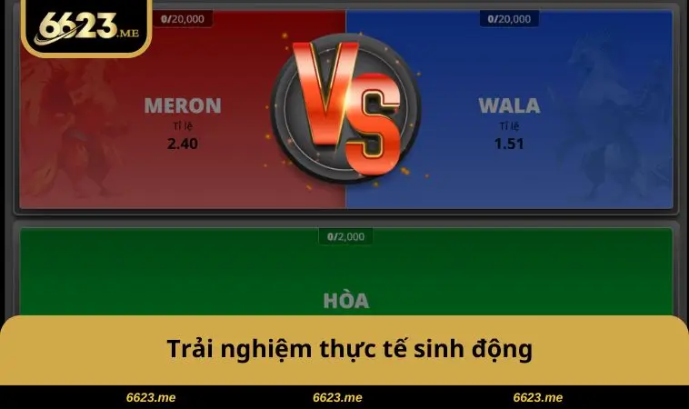 Trải nghiệm thực tế sinh động